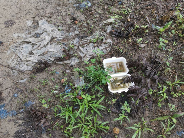 dirty disposed styrofoam box collected rain water on the field. - Photo, Image