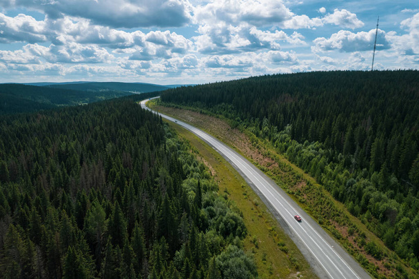 Aerial view of scenic road between green trees with pines on a sunny summer morning. Nature landscape in Siberia, Russia. A road passing through a coniferous forest, aerial shot from a drone. - Photo, image