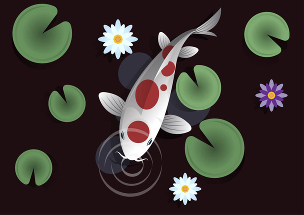 Kırmızı benekli beyaz koi balığı balık havuzundaki havayı koklamaya gelir. Göletin içinde nilüfer yaprakları ve güzel nilüfer çiçekleri var. vektör çizgi film düz biçim illüstrasyonu - Vektör, Görsel