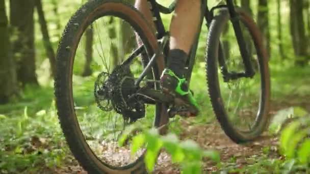 A man on an MTB bike is riding through the forest. Close-ups of an athletes foot are pedaling. The camera is shooting from behind and moving with him. 4K - Footage, Video