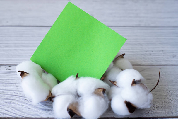 Blank Piece Of Sticky Note Placed On Top Of Table With Cotton Plant. Empty Sheet Of Paper Beside Handful Of Fiber On Desk. - Photo, Image