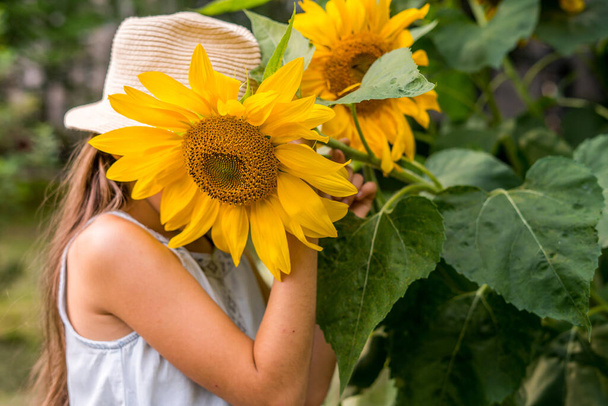 Söpö tyttö pellolla auringonkukkia - Valokuva, kuva