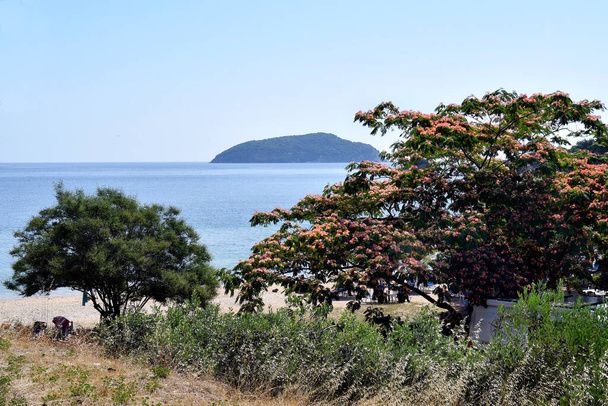 Greece, Nea Iraklitsa, beach with rain tree on Aegean sea - Photo, Image