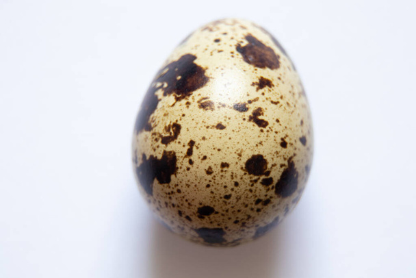quail eggs close-up, quail eggs macro photo - Photo, Image