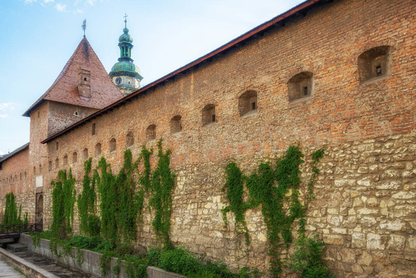 Old walls of the city of Lviv - Foto, afbeelding