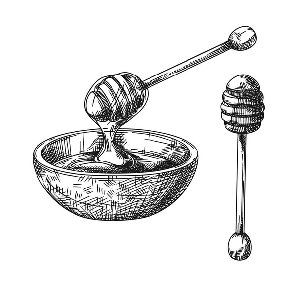 Sketch of a bowl with honey and a wooden honey spoon. Vector illustration - Vetor, Imagem