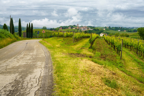 Paysage rural à Monferrato, patrimoine mondial de l'Unesco. Vignoble près de Mombaruzzo, Asti province, Piémont, Italie - Photo, image