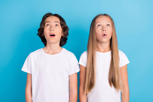 Photo of two curious excited schoolkids look empty space wear white t-shirt isolated blue color background - Zdjęcie, obraz