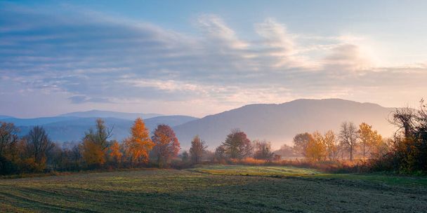 foggy rural landscape at sunrise. beautiful mountainous countryside in late autumn season. empty fields. trees in red and orange foliage. hazy atmosphere - Foto, imagen