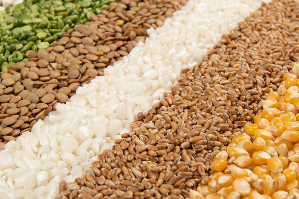 Συλλογή διαφόρων ποικιλιών δημητριακών και βρώσιμων ξηρών σπόρων. Παραδείγματα πηγών ινών - Φωτογραφία, εικόνα