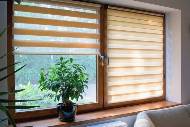 Window roller, duo system day and night.  Cozy home interior. - Photo, Image