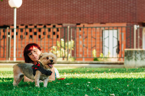 Gelukkige jonge vrouw spelen met haar yorkshire hond en huisdier buiten. vriendschap en levensstijl concept - Foto, afbeelding