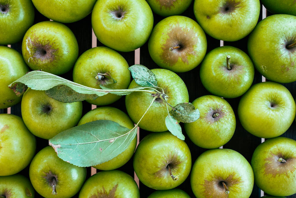 focení plně zelené jablka na pozadí - Fotografie, Obrázek