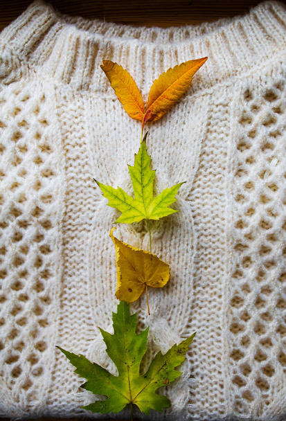 Top view fotó fehér pulóver és őszi sárga levelek copyspace - Fotó, kép