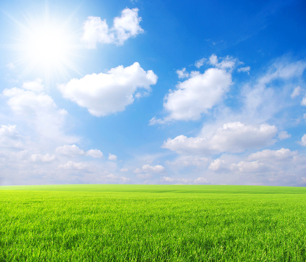 Campo verde, cielo azul y sol - Foto, imagen
