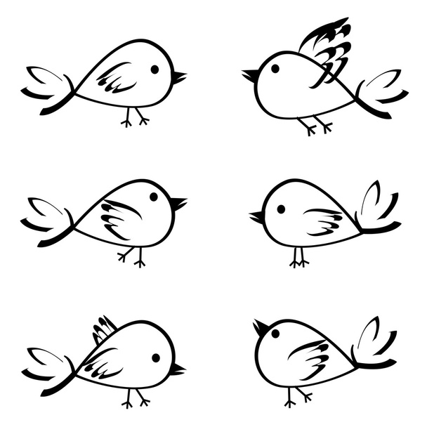 conjunto de aves - Foto, imagen