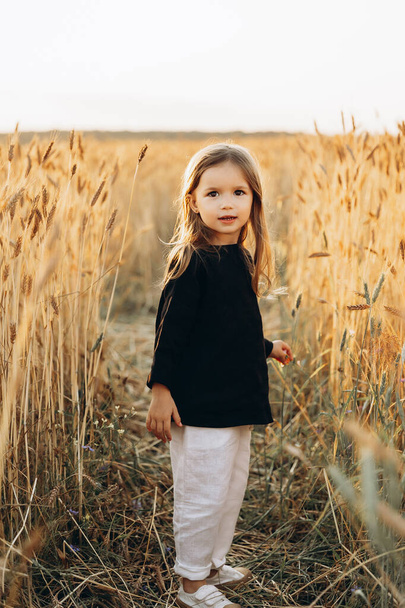 Little beautiful smiling girl on a gold wheat field. Girls in the grain-field. Cute little girl in the summer field of wheat.  - Фото, изображение