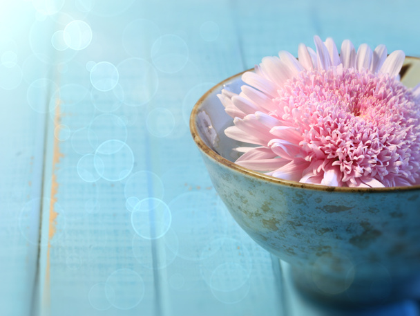 Close up of chrysanthemum flower floating in bowl of water - Photo, Image
