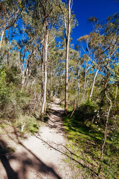 Plenty Gorge Parklands en Australia - Foto, Imagen