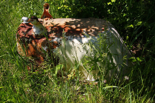 Trozos de basura oxidante rodeados de malas hierbas - Foto, imagen