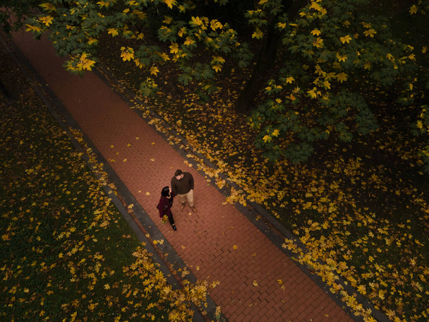 couple meet in autumn park overhead top view. falling leaves - Фото, изображение
