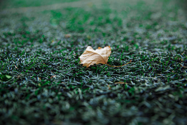 Жовтий кленовий лист лежить на штучному газоні футбольного поля
 - Фото, зображення