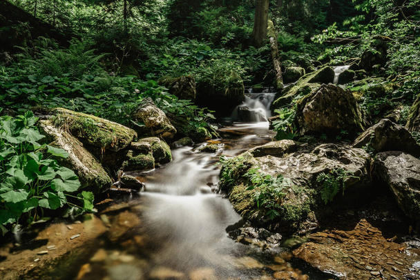 Waterfalls on the river Bila Opava,Jeseniky Mountains,Czech Republic.Deep valley,lush green forest,numerous cascades,rock formations and romantic areas.Wild mountain stream long exposure motion water. - 写真・画像