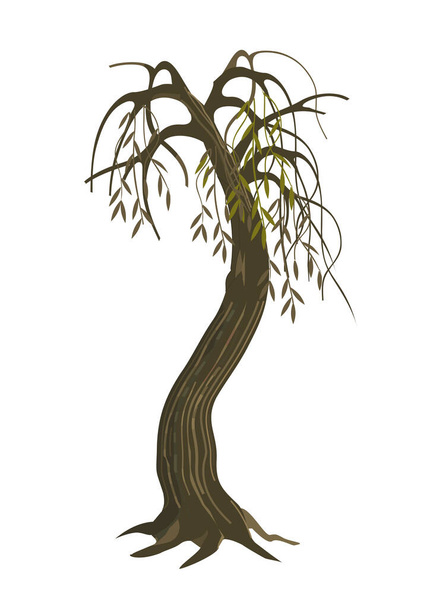 Trockene Trauerweide. Bunte Illustration eines melancholischen Trockenbaummotivs. Vereinzelt auf weißem Hintergrund. Vektor verfügbar. - Vektor, Bild