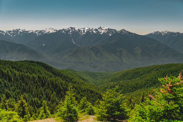 The Olympic mountains in summer, viewed from the Hurricane Hill trail in Olympic National Park. - Photo, Image