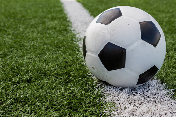 pallone da calcio sul campo sullo sfondo della linea bianca - Foto, immagini