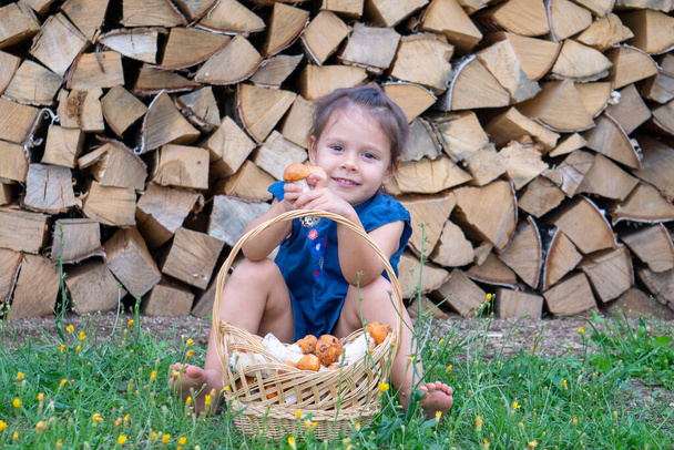 Маленькая девочка в голубом платье пылко смеется и держит грибы оранжевой шапки в своих протянутых руках. - Фото, изображение