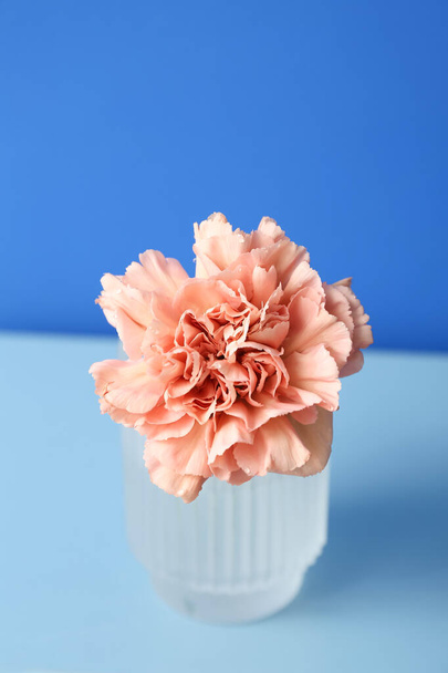 Vase with beautiful carnation flower on table near color wall - Foto, imagen