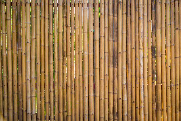 Natuur bamboe hek achtergrond - Foto, afbeelding