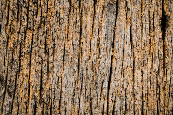 old wood texture use for background - Photo, Image