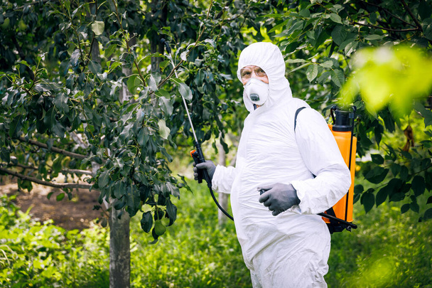 Das Thema industrielle Landwirtschaft. Eine Person versprüht auf einer Plantage giftige Pestizide oder Insektizide. Unkrautbekämpfung. - Foto, Bild