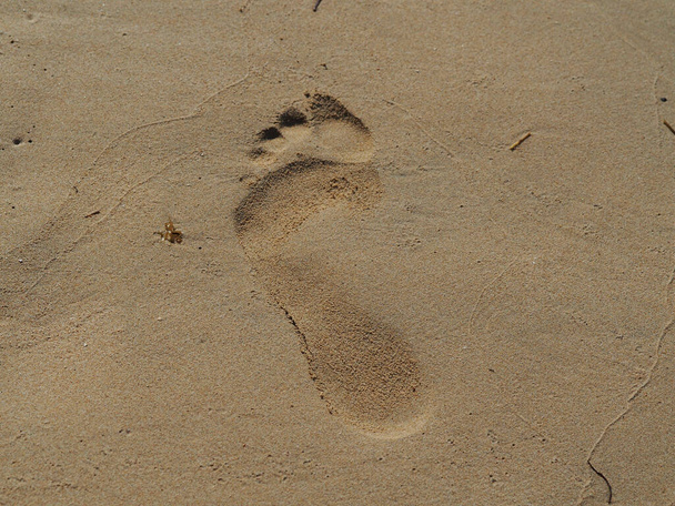 A closeup of a footprint on the beach in the daylight - perfect for wallpapers - Photo, Image