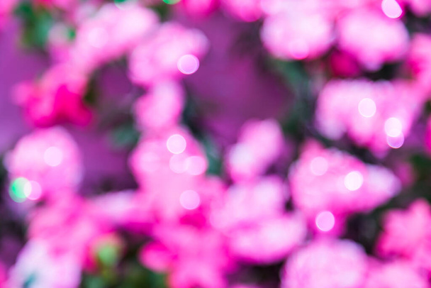 Rózsaszín és zöld elvont bokeh disocused fények háttér - Fotó, kép