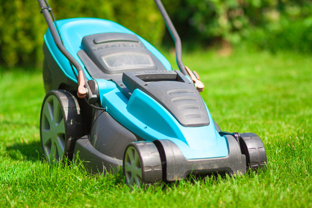 blue lawn mower on green gras - Photo, Image