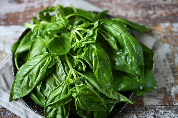 Juicy green basil on a plate. - Photo, image