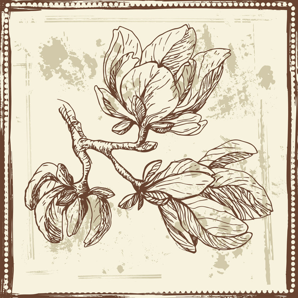 Hand drawn magnolia flowers sketch - Vector, Imagen