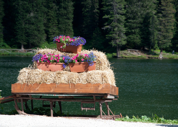 Blumenvase auf altem Schlitten am Bergsee - Foto, Bild