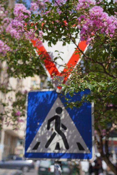 sinais de estrada em árvores e flores - Foto, Imagem