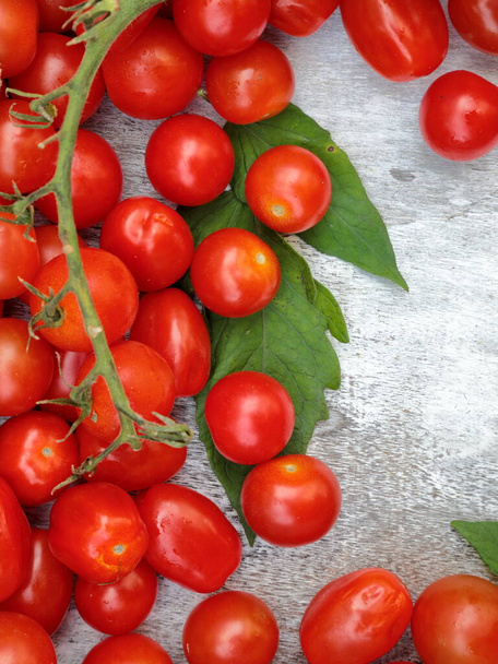 Tomates cherry con Roma Tomates sobre un fondo blanco de madera con espacio para copiar. - Foto, imagen