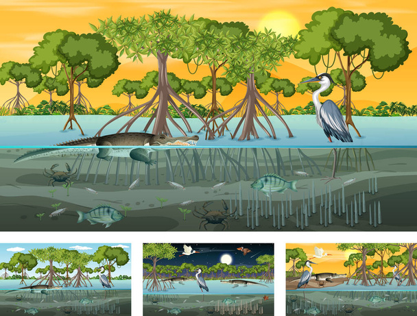 Різні мангрові лісові пейзажні сцени з ілюстраціями тварин і рослин
 - Вектор, зображення
