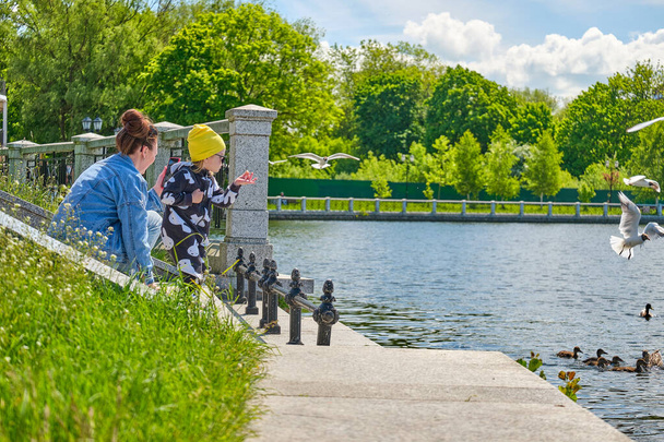 Mom and daughter feed bread crumbs to ducks and gulls on the city pond - Zdjęcie, obraz