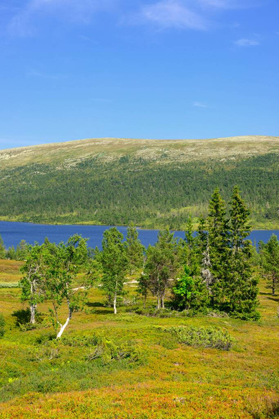 Lake Grovelsjon in Dalarna in Sweden - Fotoğraf, Görsel