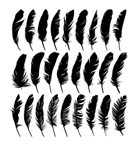 Set feathers of various birds. - Vector, Image