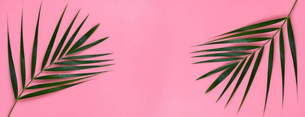 明るいピンクのパステルの背景にヤシの木の緑の葉、熱帯緑のヤシの葉、トップビューの最小限の概念。平敷. - 写真・画像