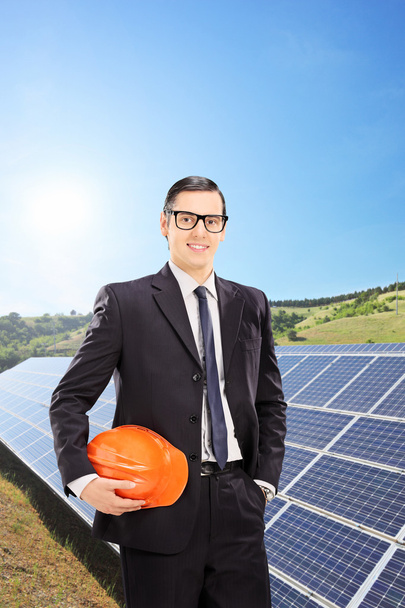 Engineer with solar panels - 写真・画像