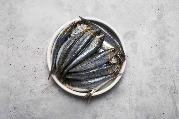 Freshly caught fresh sardines from the Mediterranean sea on the gray concrete background, top view - Фото, зображення